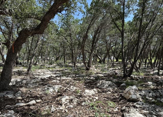 27903  Storm Vw, San Antonio, TX 78266 — photo 13