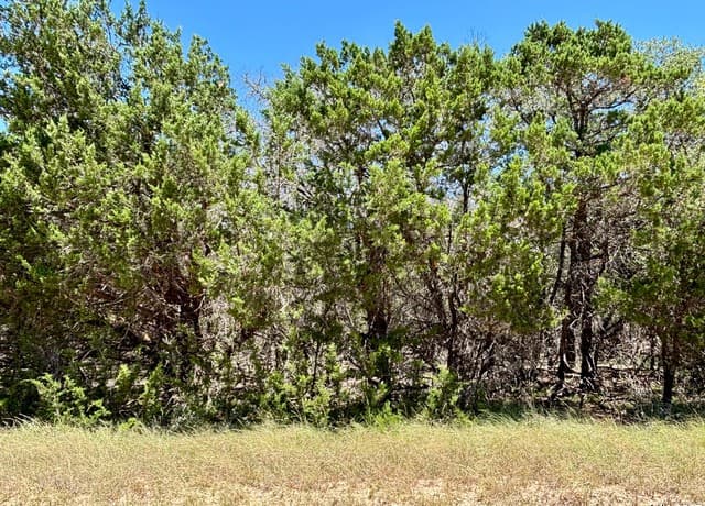 LOT 36-37  Wyatt Earp, Bandera, TX 78003 — photo 3
