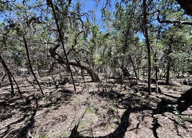 LOT 36-37  Wyatt Earp, Bandera, TX 78003 — photo 9