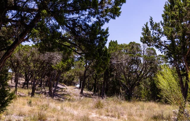 TBD  Pr 177, Helotes, TX 78023 — photo 2
