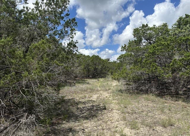 7131  Rebecca Creek, Spring Branch, TX 78070 — photo 2
