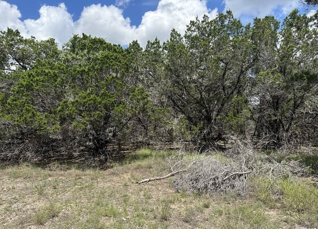 7131  Rebecca Creek, Spring Branch, TX 78070 — photo 3