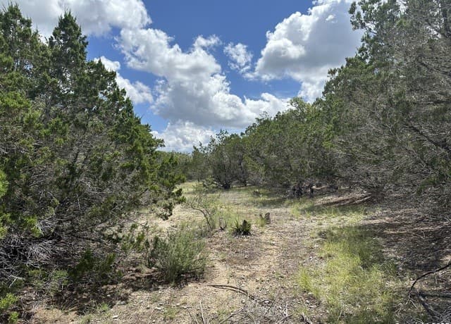 7131  Rebecca Creek, Spring Branch, TX 78070 — photo 4