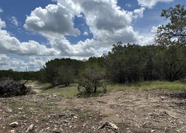 7131  Rebecca Creek, Spring Branch, TX 78070 — photo 5