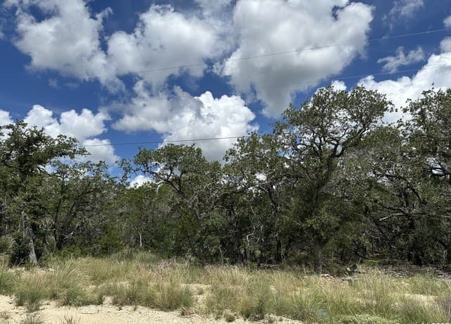 7131  Rebecca Creek, Spring Branch, TX 78070 — photo 9
