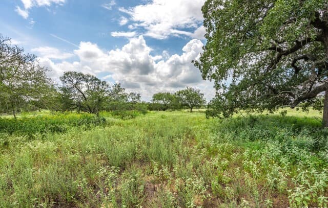 330 S Encino Crossing, Natalia, TX 78059 — photo 10