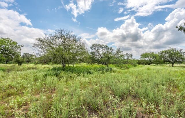 330 S Encino Crossing, Natalia, TX 78059 — photo 11