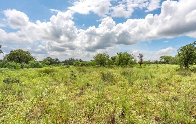 330 S Encino Crossing, Natalia, TX 78059 — photo 12