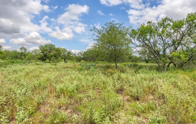 330 S Encino Crossing, Natalia, TX 78059 — photo 13