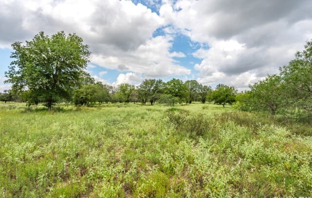 330 S Encino Crossing, Natalia, TX 78059 — photo 14