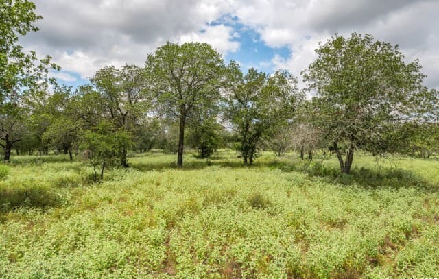 330 S Encino Crossing, Natalia, TX 78059 — photo 15