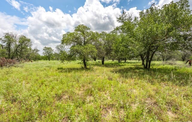 330 S Encino Crossing, Natalia, TX 78059 — photo 16