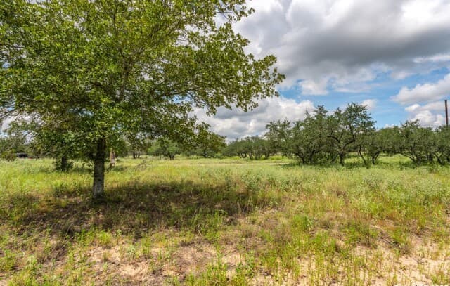 330 S Encino Crossing, Natalia, TX 78059 — photo 17