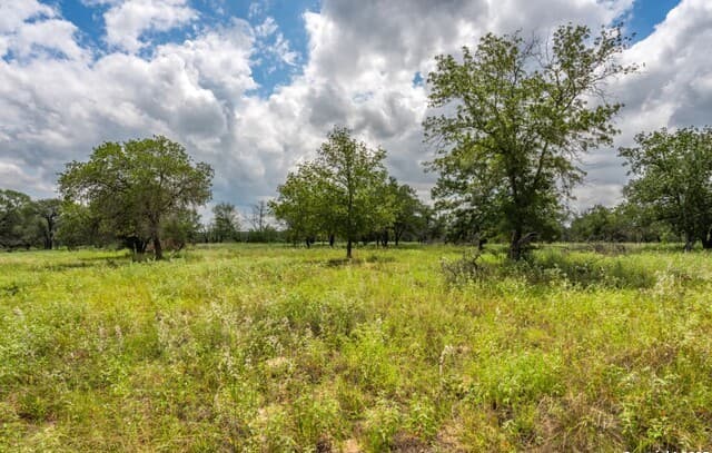 330 S Encino Crossing, Natalia, TX 78059 — photo 2