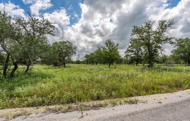 330 S Encino Crossing, Natalia, TX 78059 — photo 3