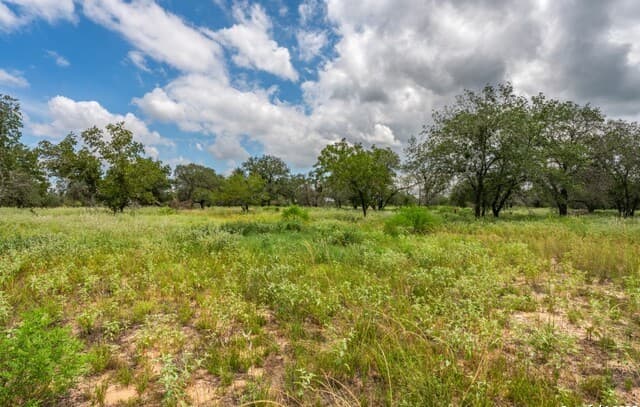 330 S Encino Crossing, Natalia, TX 78059 — photo 4