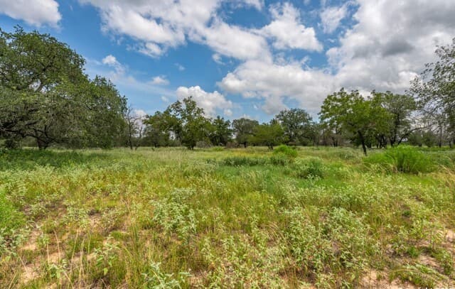 330 S Encino Crossing, Natalia, TX 78059 — photo 5
