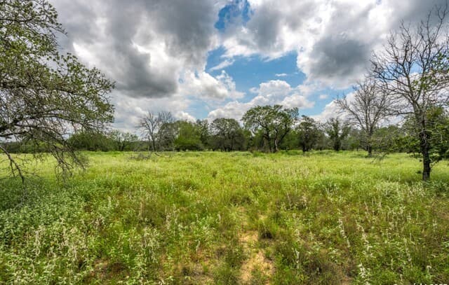 330 S Encino Crossing, Natalia, TX 78059 — photo 6
