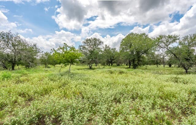 330 S Encino Crossing, Natalia, TX 78059 — photo 8