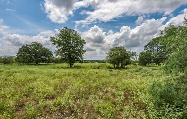 330 S Encino Crossing, Natalia, TX 78059 — photo 9