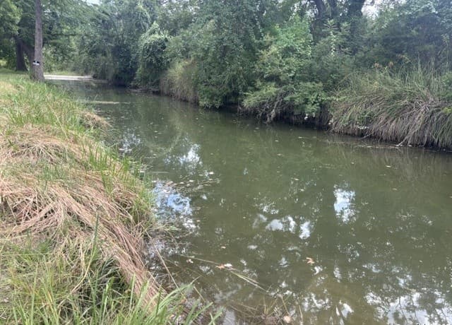 LOT 6  Chipman Lane, Bandera, TX 78003 — photo 4