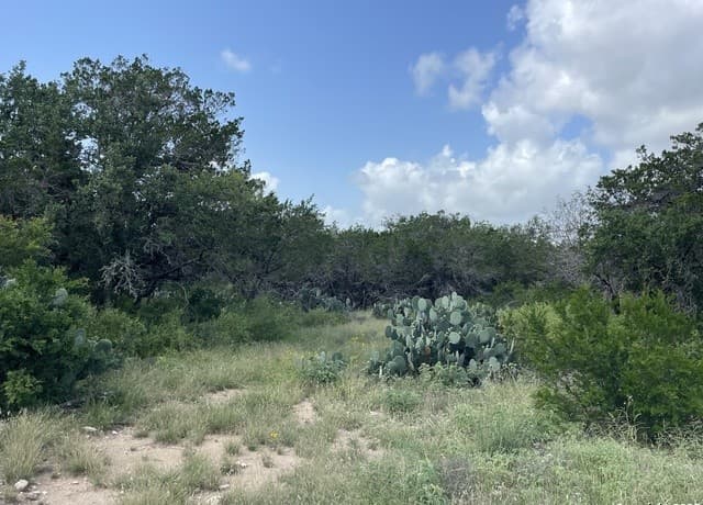 233 County Road 340, Hondo, TX 78861 — photo 20