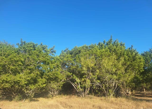 0  Nacona Dr, Bandera, TX 78003 — photo 10