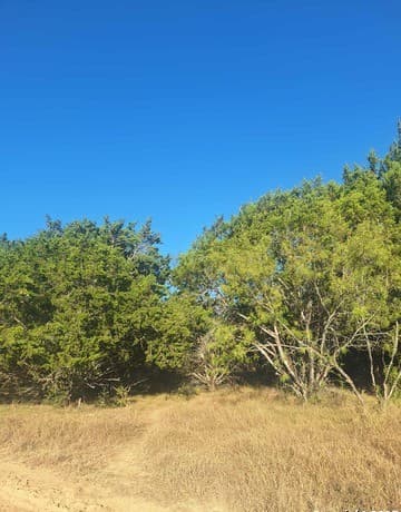 0  Nacona Dr, Bandera, TX 78003 — photo 16