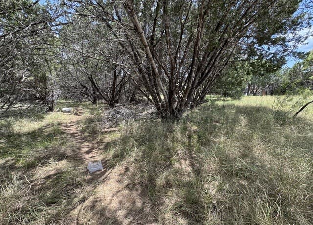 0  Nacona Dr, Bandera, TX 78003 — photo 2
