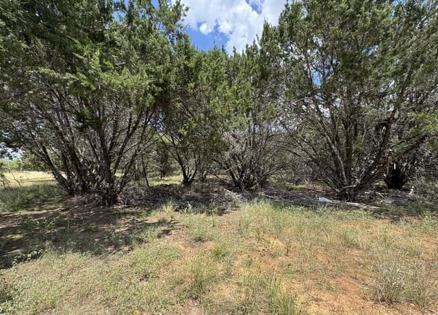 0  Nacona Dr, Bandera, TX 78003 — photo 3