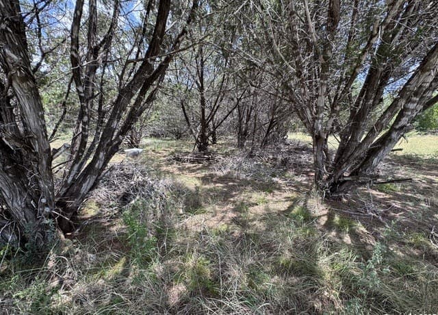 0  Nacona Dr, Bandera, TX 78003 — photo 4