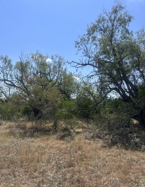 6032  County Road 405, Floresville, TX 78114 — photo 3