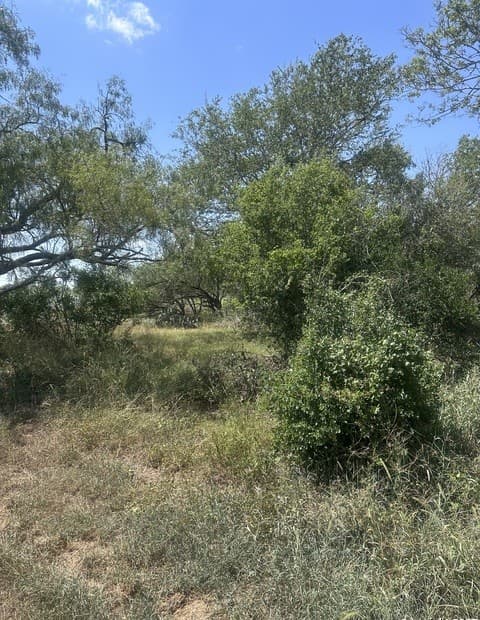 6032  County Road 405, Floresville, TX 78114 — photo 6