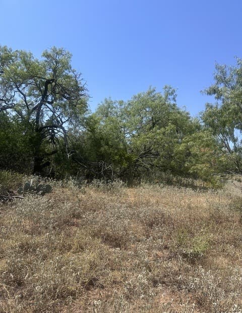 6032  County Road 405, Floresville, TX 78114 — photo 7