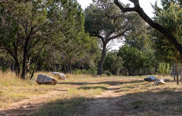 27919  Bogen, New Braunfels, TX 78132 — photo 4