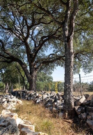 27919  Bogen, New Braunfels, TX 78132 — photo 9