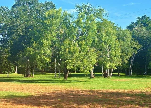508  Lagunillas, Charlotte, TX 78011 — photo 10