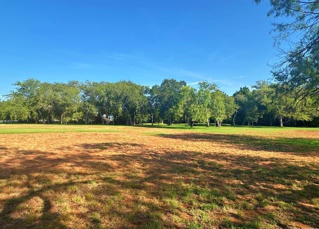508  Lagunillas, Charlotte, TX 78011 — photo 9