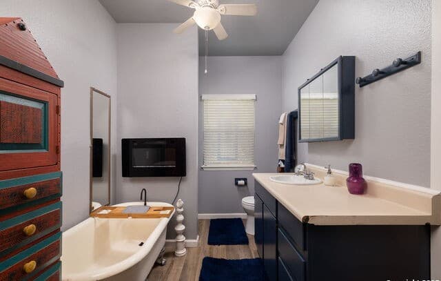 1060  Forest View Dr, Blanco, TX 78606 — photo 10