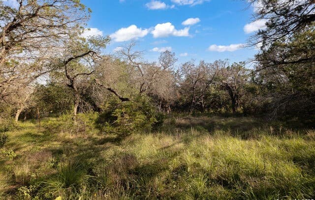 1060  Forest View Dr, Blanco, TX 78606 — photo 21