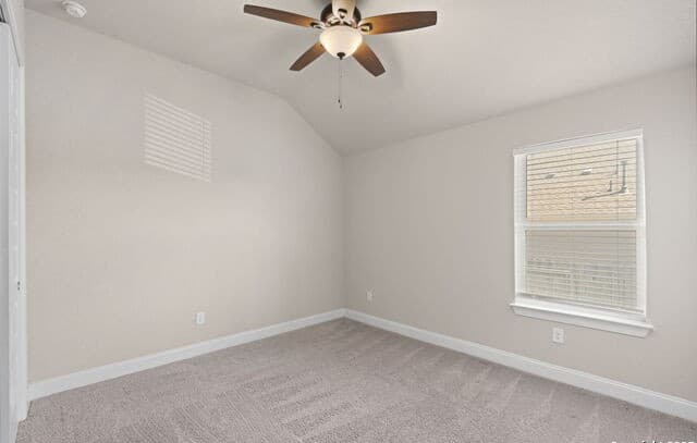 6533  Crockett Cv, Schertz, TX 78108 — photo 23