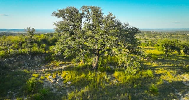 TRACT 3  Jungfrau Hill Road, Comfort, TX 78013 — photo 15
