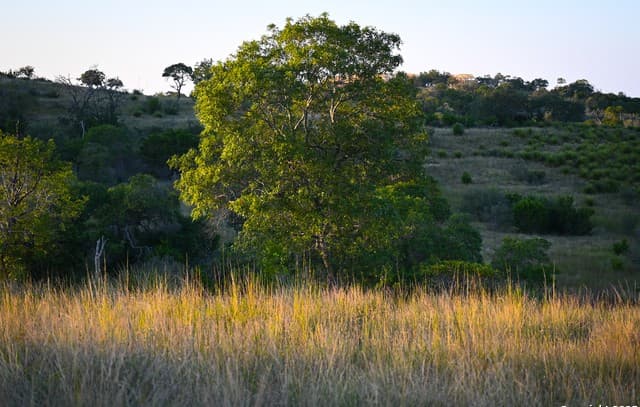 TRACT 3  Jungfrau Hill Road, Comfort, TX 78013 — photo 24