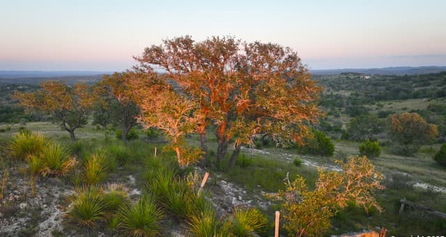 TRACT 3  Jungfrau Hill Road, Comfort, TX 78013 — photo 9