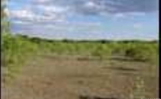245  County Road 356