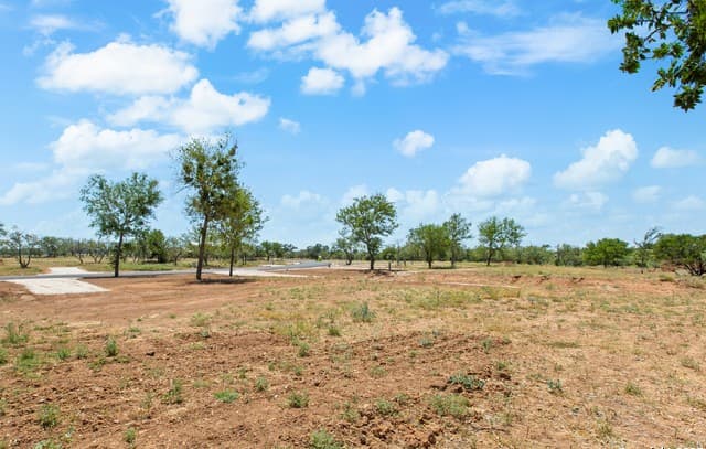 229  Resort Ct, Fredericksburg, TX 78624 — photo 25