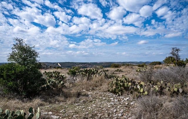 90  Vista Real, Boerne, TX 78006 — photo 21