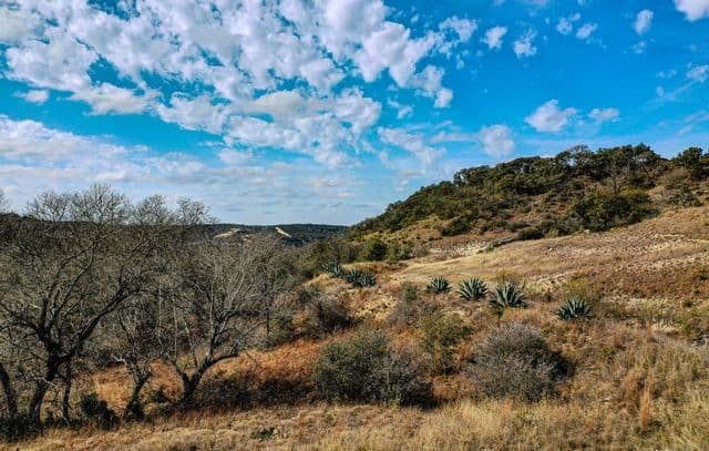 90  Vista Real, Boerne, TX 78006 — photo 5