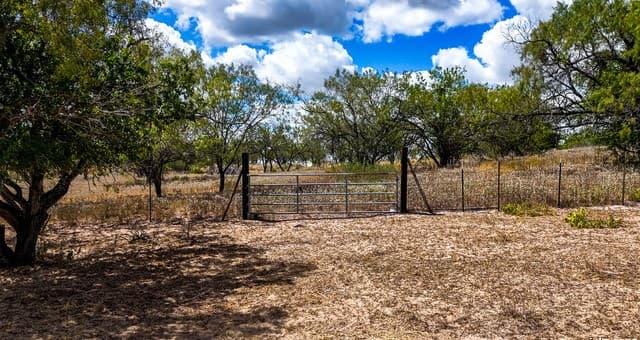 728  Cr 315, Stockdale, TX 78160 — photo 14