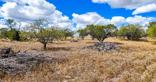 728  Cr 315, Stockdale, TX 78160 — photo 15